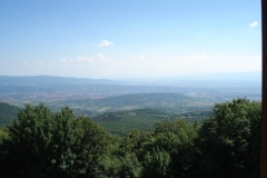 DSC00037-Copy