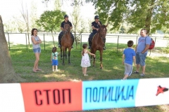 PND_8065-Copy