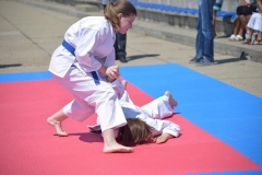PND_8280-Copy