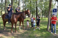 PND_8759-Copy