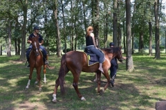PND_8832-Copy