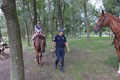 PND_8842-Copy