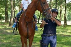 PND_8895-Copy