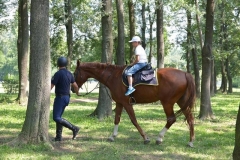 PND_8901-Copy