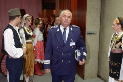 STE_1690-Copy