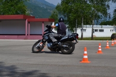 DSC_0102-Copy