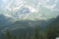 DSC00037-Copy